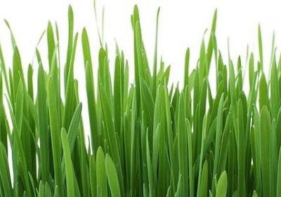 话别说太满经典语录(热门80句)