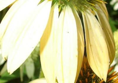 路遥经典语录(20句)