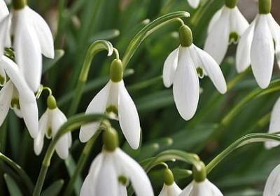 观音菩萨经典语录(热门70句)