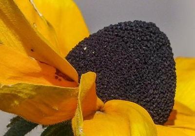 赞美男人的经典语录(热门50句)