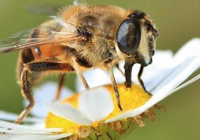 说坏女人的经典语录(热门60句)