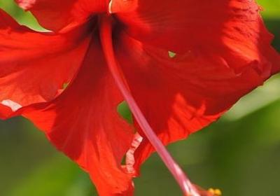 豪哥经典语录(实用50句)