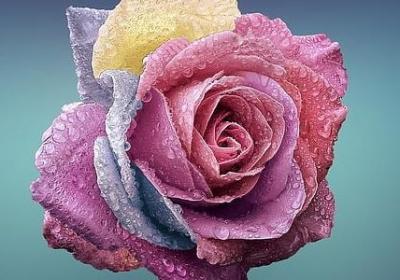 触不可及经典语录(实用40句)