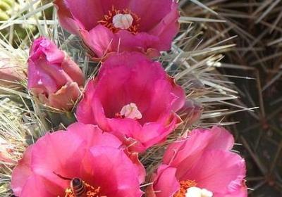 莫言经典语录(40句)