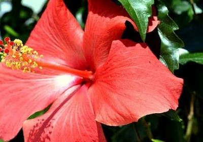 被窝是青春的坟墓经典语录(合集25句)