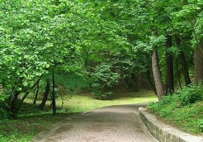 记忆的句子经典语录(共50句)