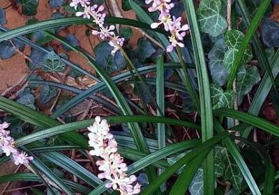 薛之谦的经典语录(通用50句)