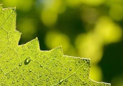 贾冰经典语录(通用60句)