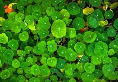 薛之谦经典语录(必备70句)