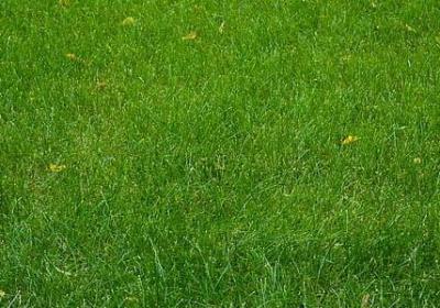 说小偷的经典语录(必备50句)