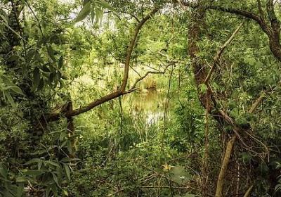 赞美分享的话经典语录(实用60句)