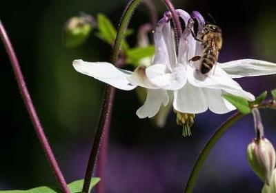 萧炎经典语录(优选10句)