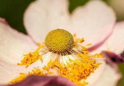 褚时健经典语录(推荐40句)