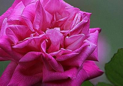 董宇辉经典语录(合集20句)