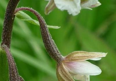 莫言经典语录励志(优选10句)