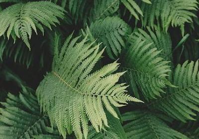 言情小说经典语录(共70句)