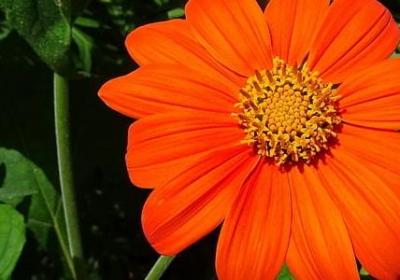 荒野生存经典语录(40句)