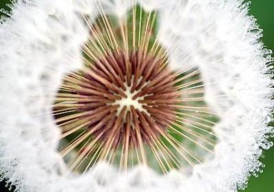 诗在远方经典语录(必备78句)