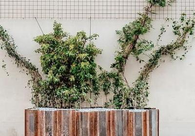 苦日子的经典语录(必备40句)