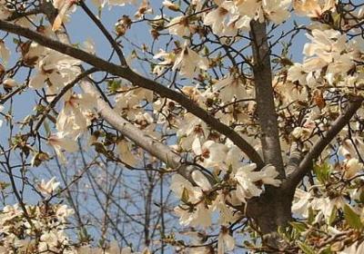 西线无战事经典语录(合集20句)