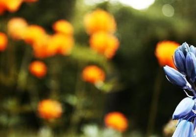 赤井秀一经典语录(推荐60句)