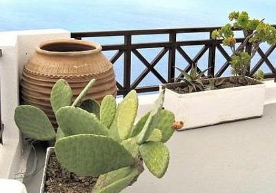 詹俊解说经典语录(通用60句)