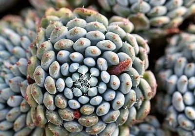 被骗感情的经典语录(汇总80句)