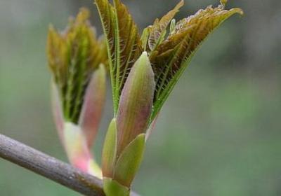 蔡康永的爱情经典语录(必备40句)