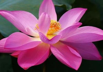 不爱我的句子(优选40句)