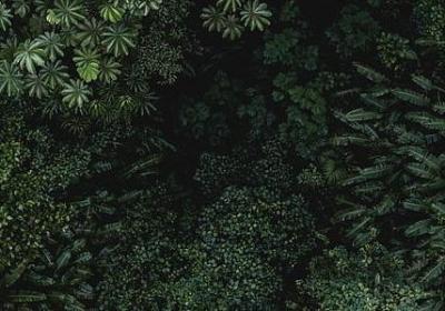不求上进的男人的句子(60句)