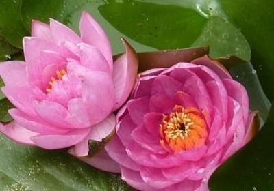 与异性保持距离的句子(推荐77句)