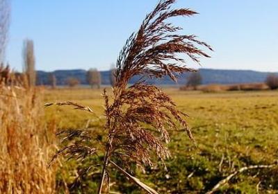 讽刺说谎的人经典语录(共70句)