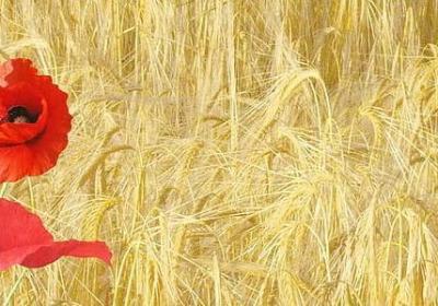 走过岁月经典语录(汇总41句)