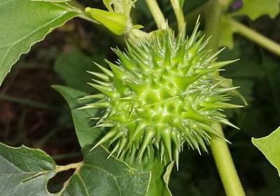 话里有话的经典语录(推荐40句)