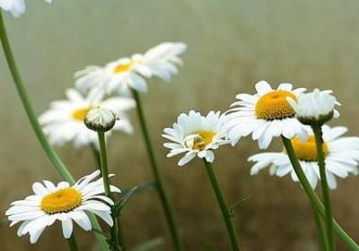 蛋糕经典语录(必备50句)