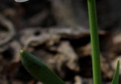 藏地密码经典语录(实用80句)