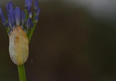 论语经典语录(优选49句)