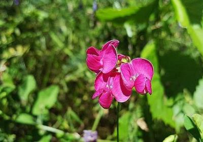 讽刺拜金女的经典语录(实用70句)