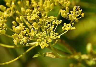 谁能懂我的心经典语录(实用40句)