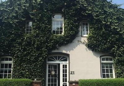 评论歌曲的经典语录(合集80句)