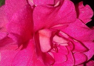 越狱经典语录(30句)