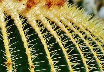 血战钢锯岭经典语录(优选40句)