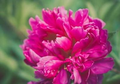 赚钱经典语录(优选40句)