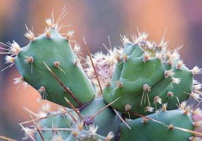 路遥的经典语录(热门50句)