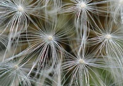 请回答1988 经典语录(精选40句)