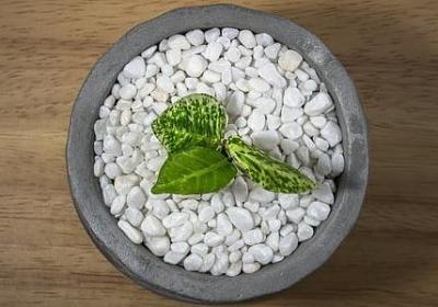 诠释生活的经典语录(汇总60句)