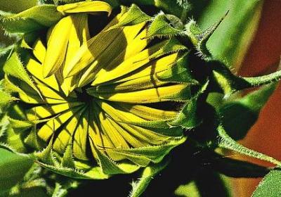 身为女人的经典语录(合集70句)