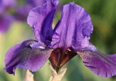 诛仙经典语录(必备60句)