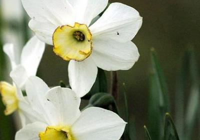 谢霆锋经典语录(20句)