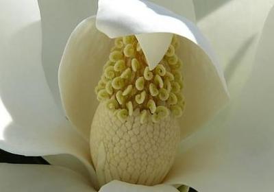 蔡康永经典语录(合集50句)